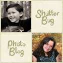 Shutter Bug Photo Blog Shutter Bug Photo Blog
