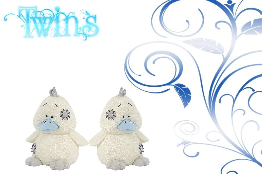 ducktwins.jpg duck twins picture by cratsella