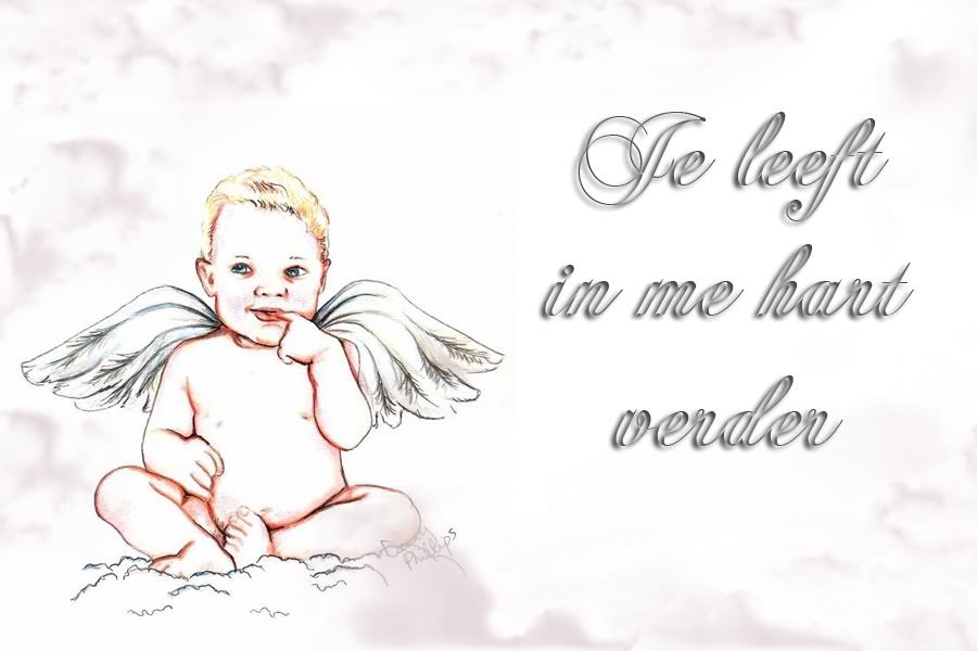 jeleeftinmehartverderjpg.jpg engeltje je leeft in me hard verder picture by cratsella