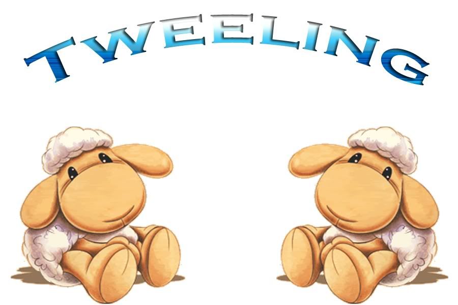 tweelingoverloopblauw-kopie.jpg tweeling overloop blauw picture by cratsella