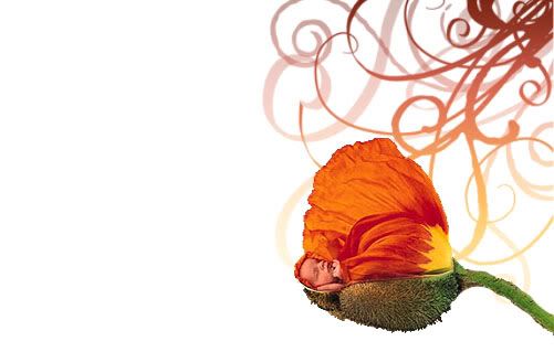 herfst-kopie.jpg picture by cratsella