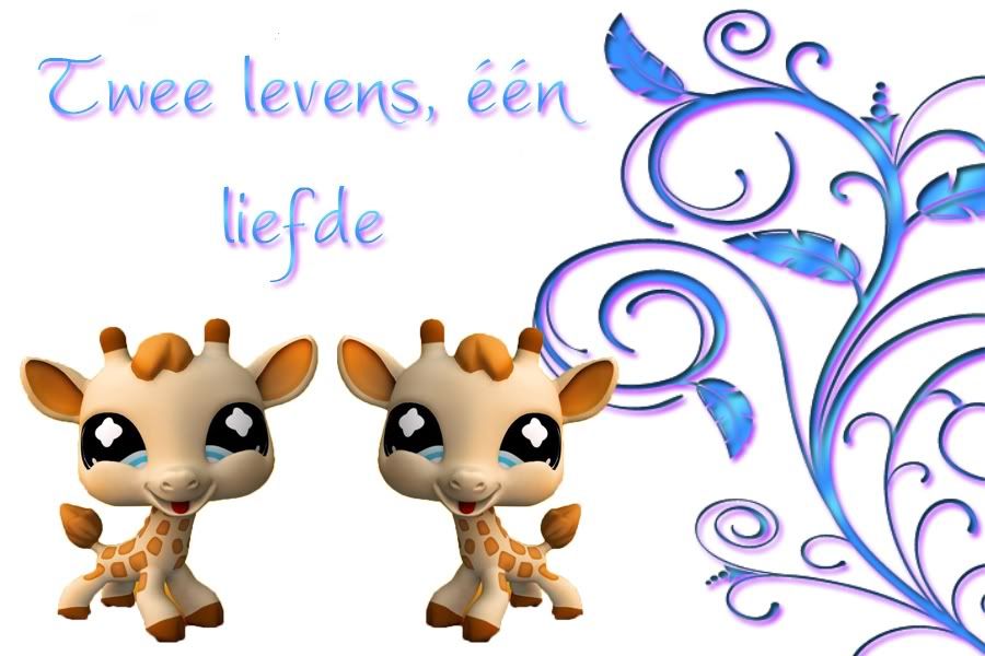&eacute;&eacute;n liefde twee levens