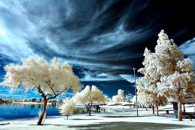 Nature Miracles