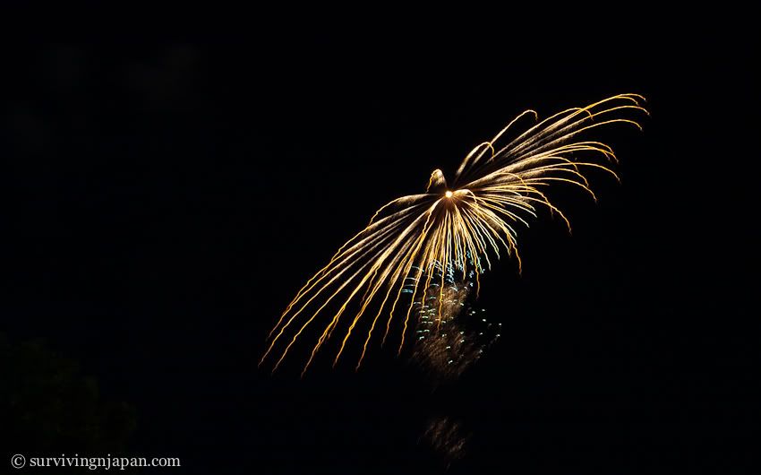 Japan, Shizuoka, Fukuroi, fireworks, summer, festival, 花火, 袋井