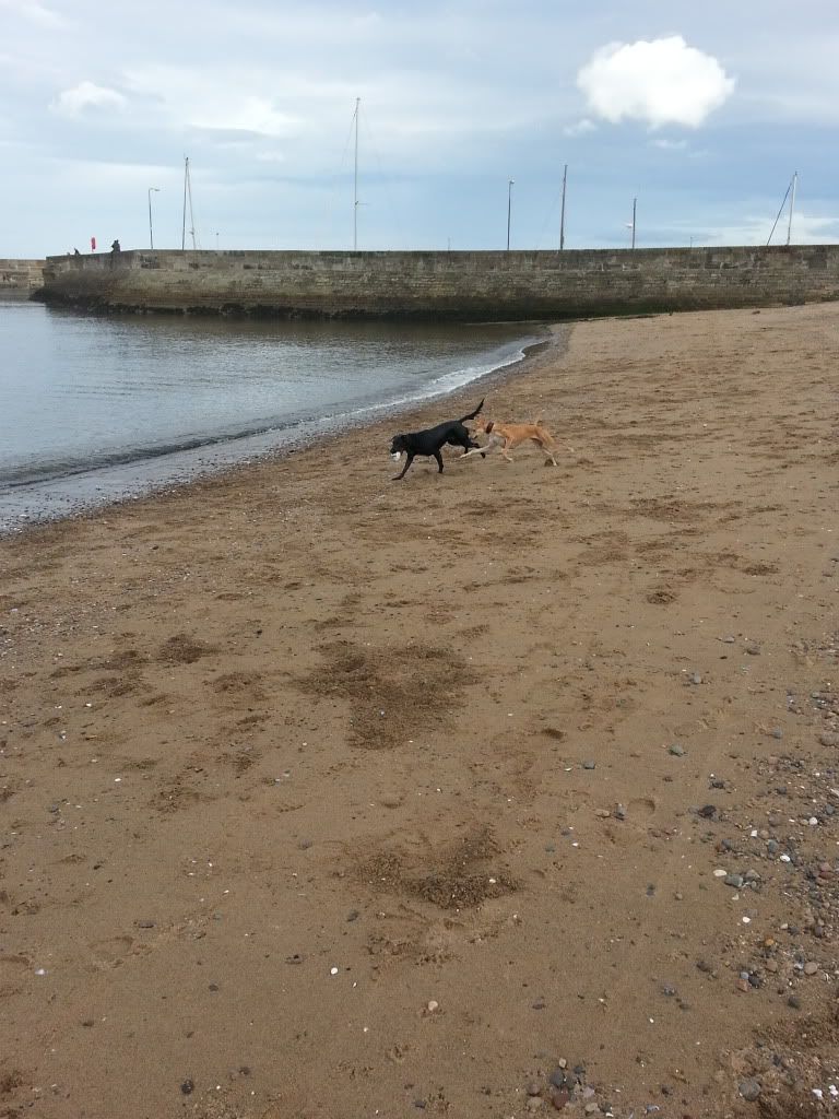 20131020_135027_zps3f3aae95.jpg
