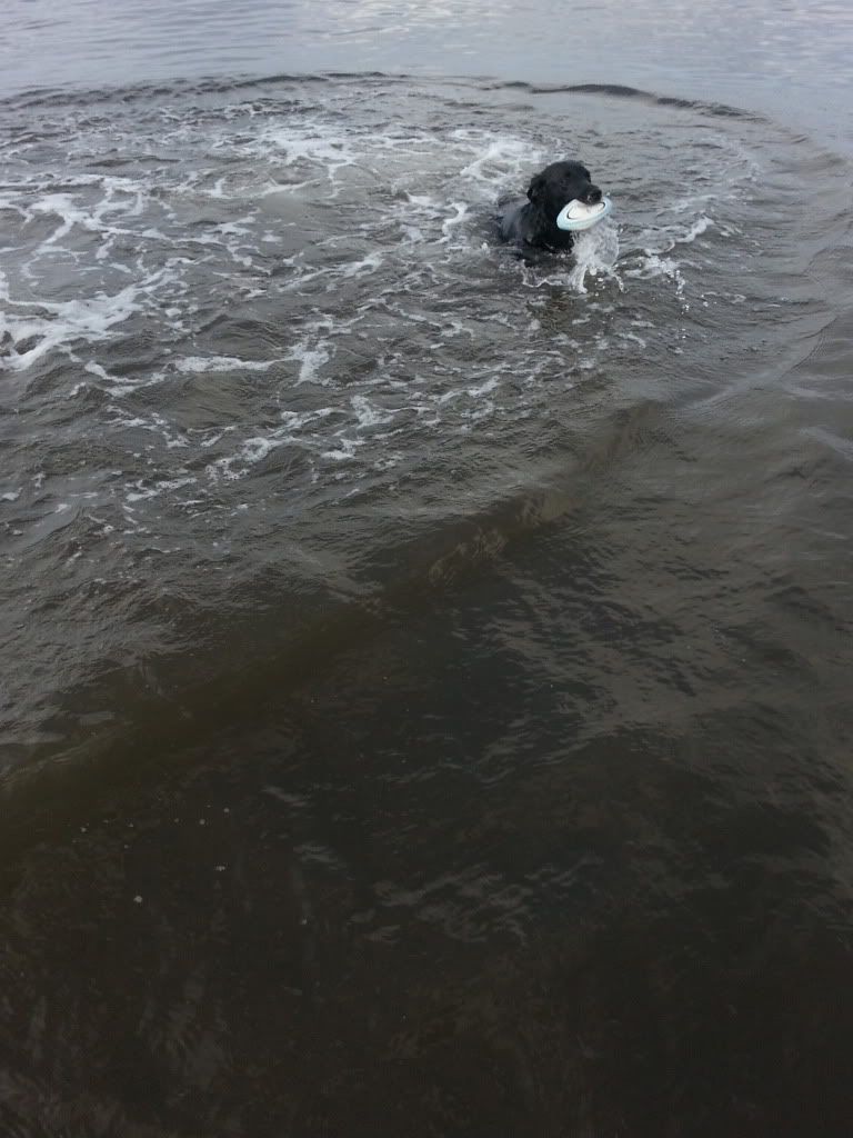 20131020_135228_zps930fa392.jpg