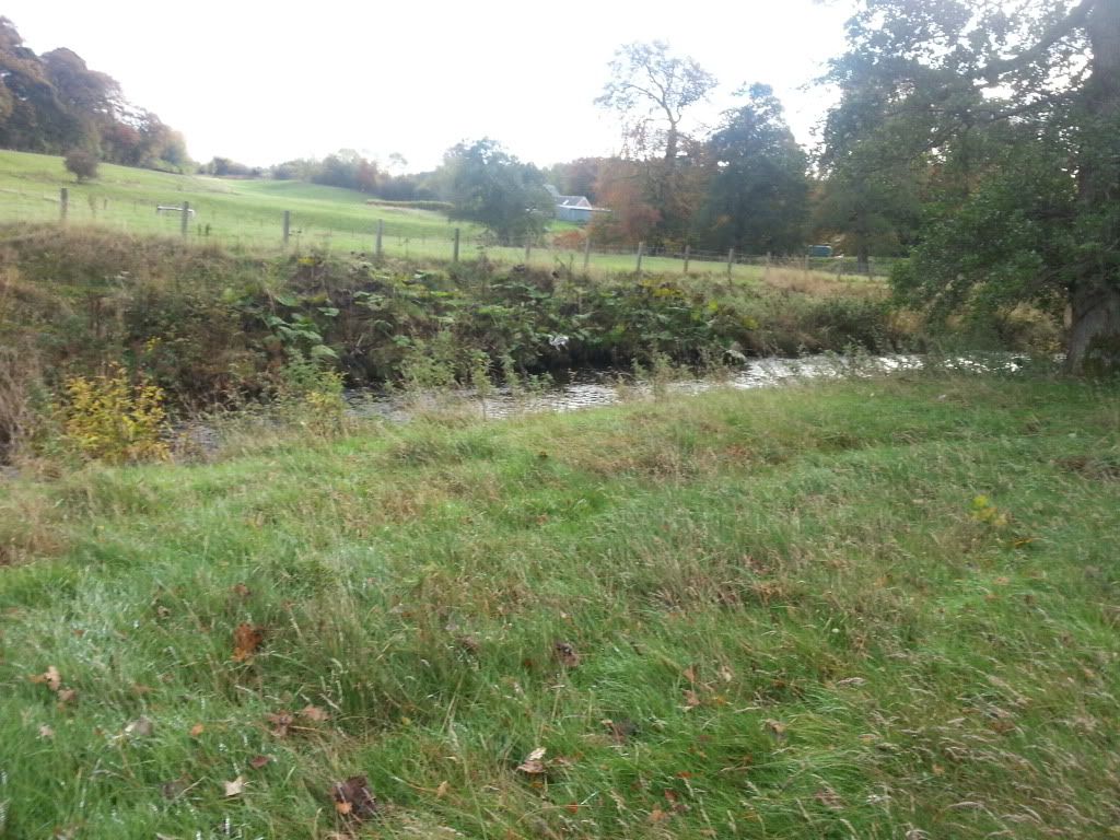 20131026_105405_zpsc4303f05.jpg