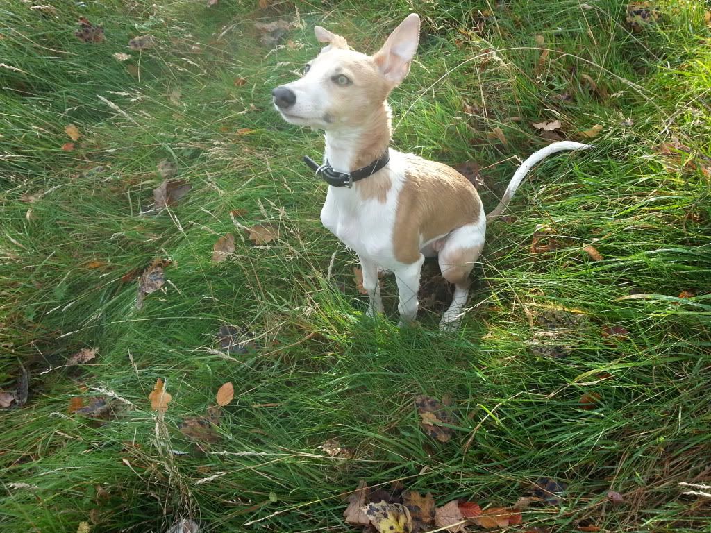 20131026_105510_zpscd676627.jpg