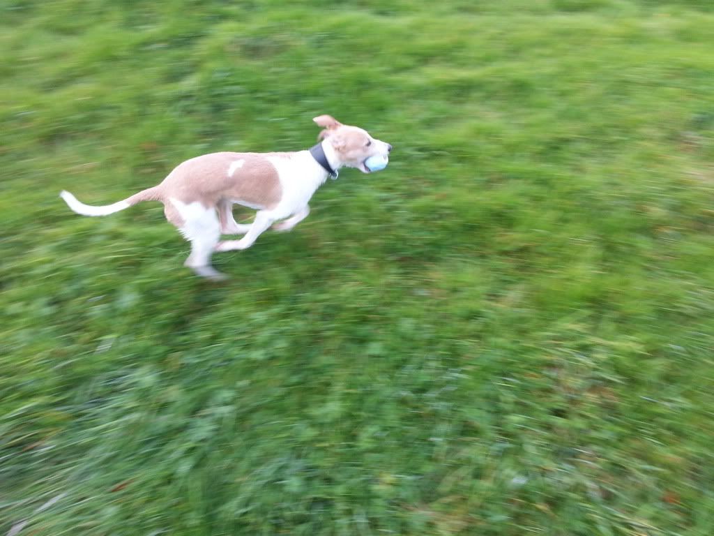 20131026_1058280_zps166698dd.jpg