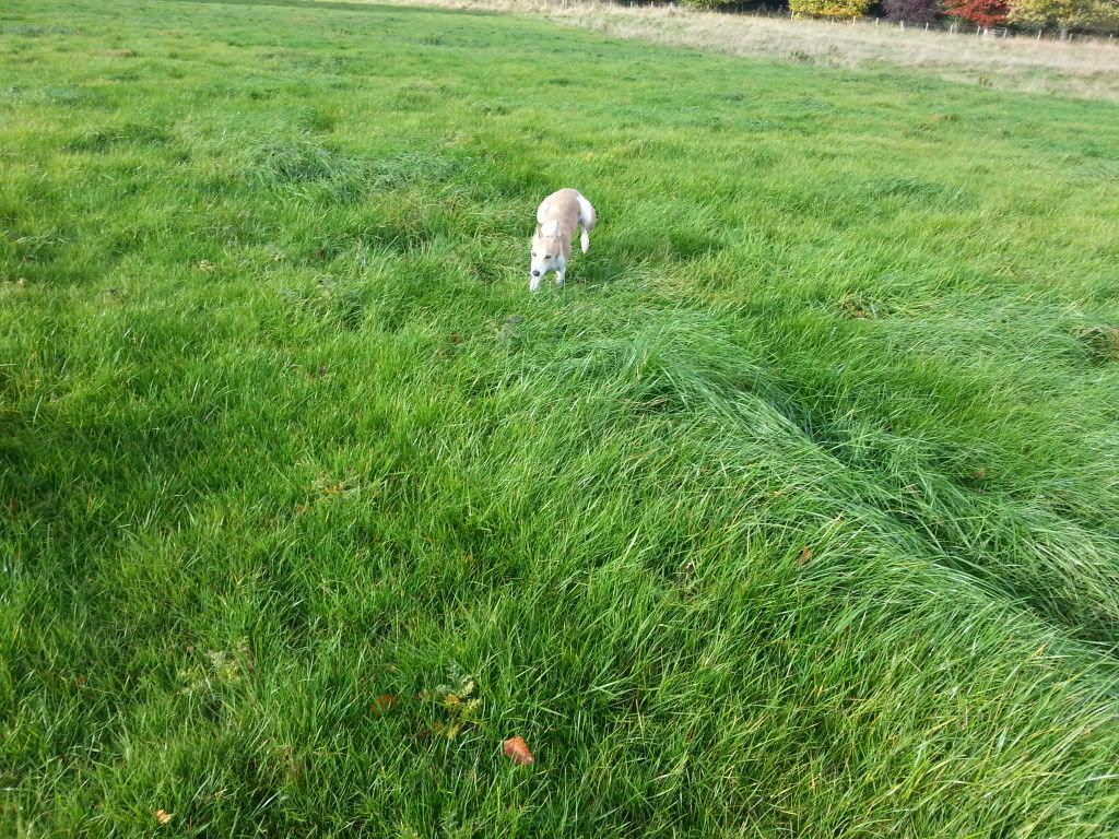 20131026_110327_zpsbe7475f2.jpg