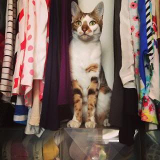 Africa and my wardrobe