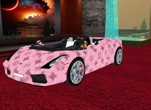 LV pink car